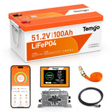 TEMGO 48V (51.2V) 100Ah LiFePO4 Lithium Golf Cart Battery, Complete Upgrade Kit with Charger, LCD Display & App, Built-in 200A B