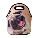 allydrew Insulated Neoprene Lunch Bag Zipper Lunch Box Tote, Happy Pug