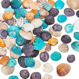 PH PandaHall 50~56pcs Dyed Natural Conch Shell Beads Drilled Tiny Scallop Sea Shells Ocean Beach Seashells Craft Charms for Cand