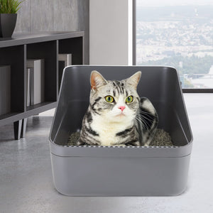 Sfozstra Open Litter Box, High Side Sifting, Secure and Odor Control, Removable, Easy to Clean for Cats Up to 8 Pounds (Black Sm