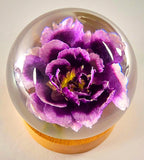 2.3 Real Purple Carnation in Clear Lucite Resin Globe on Wood Stand Anniversary Wedding Engagement Valentine January Birth Month