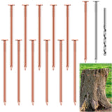 14Pcs Copper Nails Kit to Killing Trees,Includes 12PCS 3.5 Inch Pure Copper Nails Bulk,Stump Removal Spikes Hardware Nails for T