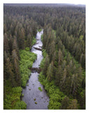 Stream And Boreal Forest, Tongass National Forest, Yakutat, Alaska-Paper Art-26,,X34,,