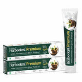 Herbodent Premium Toothpaste - 5.82 Oz Pack of 2 | 21 Herbs for Strong Teeth & Healthy Gums- Neem, Clove, Cinnamon, Cardamom wit