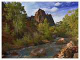 Mt Spry At 5,823 Foot Elevation With The Virgin River Surrounded By Cottonwood Trees, Zion National Park, Utah-Paper Art-50,,X38