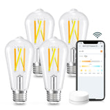 Linkind E26 Smart Edison Bulbs, 2700K-6500K Tunable WiFi Edison Bulbs with Remote Control, 8W 60W Equivalent Dimmable ST19 (ST58
