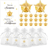 Nosiny 30 Set Star Pins Employee Appreciation Gift Include Star Badge Lapel Pins Bulk Inspirational Greeting Cards and Bag Thank