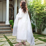 Gosriki Women'S Rayon Blend Printed Straight Kurta With Pant & Dupatta (Mirai White-Vks02-Gs_5Xl_White_Xxxxx-Large),White,5,B0DT75Y967