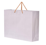 PPJ  PAPER CARRY BAG, 12 Inch X 4 Inch X 9 Inch (MEDIUM) for DIWALI/FUNCTION/BIRTHDAY/RETURN GIFTS (WHITE PLAIN) (Pack of 10)