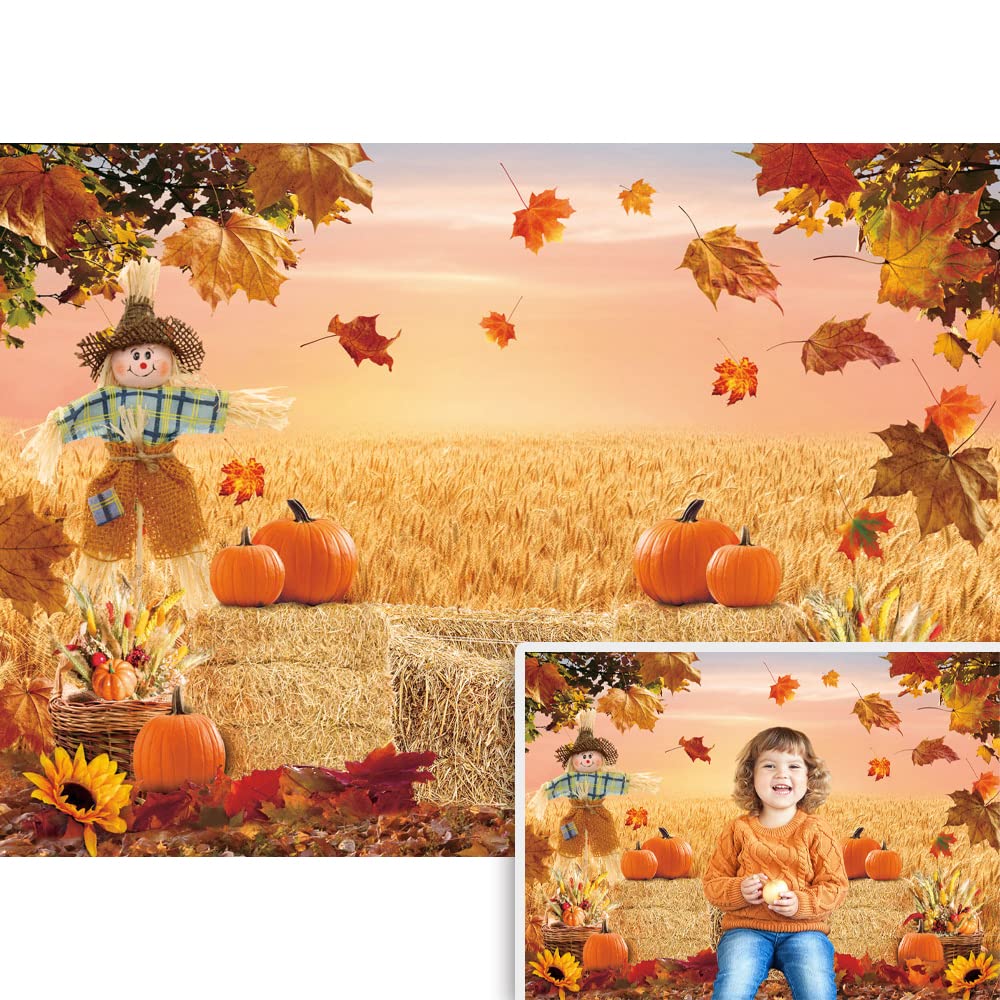 Autumn Photography Background Thanksgiving Harvest Barn Party Backdrop Pumpkin Maple Leaf Hay Wooden Decor Baby Shower Cake Tabl