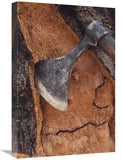 Cork Oak Bark Being Harvested For Wine Corks And Other Products, San Vicente De Alcantara, Extremadura, Spain-Canvas Art-16X24