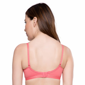 Trylo Paresha Stp 36 Coral C - Cup,CORAL,36,B0B3MZ9B6W