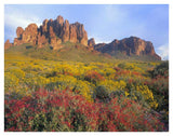 Chuparosa And Brittlebush Superstition Mountains, Arizona-Paper Art-42,,X32,,
