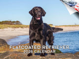 2025 2026 Flatcoated Retriever Calendar - Dog Breed Monthly Wall Calendar - 12 x 18 Open - Thick No-Bleed Paper - Giftable - Aca