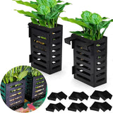 Hasthip Plastic 2 Pcs Aquarium Plant Holder With Hooks, Fish Tank Plant Holder, Enhance Your Aquarium Decor With These Hanging 