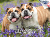 2025 2026 Bulldog Calendar - Dog Breed Monthly Wall Calendar - 12 x 18 Open - Thick No-Bleed Paper - Giftable - Academic Teacher