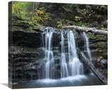 Seneca Falls, Ricketts Glen State Park, Pennsylvania-Canvas Art-22X19.58