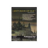 Centurion Artist Canvas Pads for Oil Painting, 11 Ounce Weight, 10 Bleed Proof Sheets, Single 12x16 in