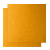 12 x 12 Felt Fabric Sheets for Crafts, Squares Felt Fabric Sheets, 1mm Thick, Non-Woven Felt Paper for DIY Sewing Craft, 2pcs (T