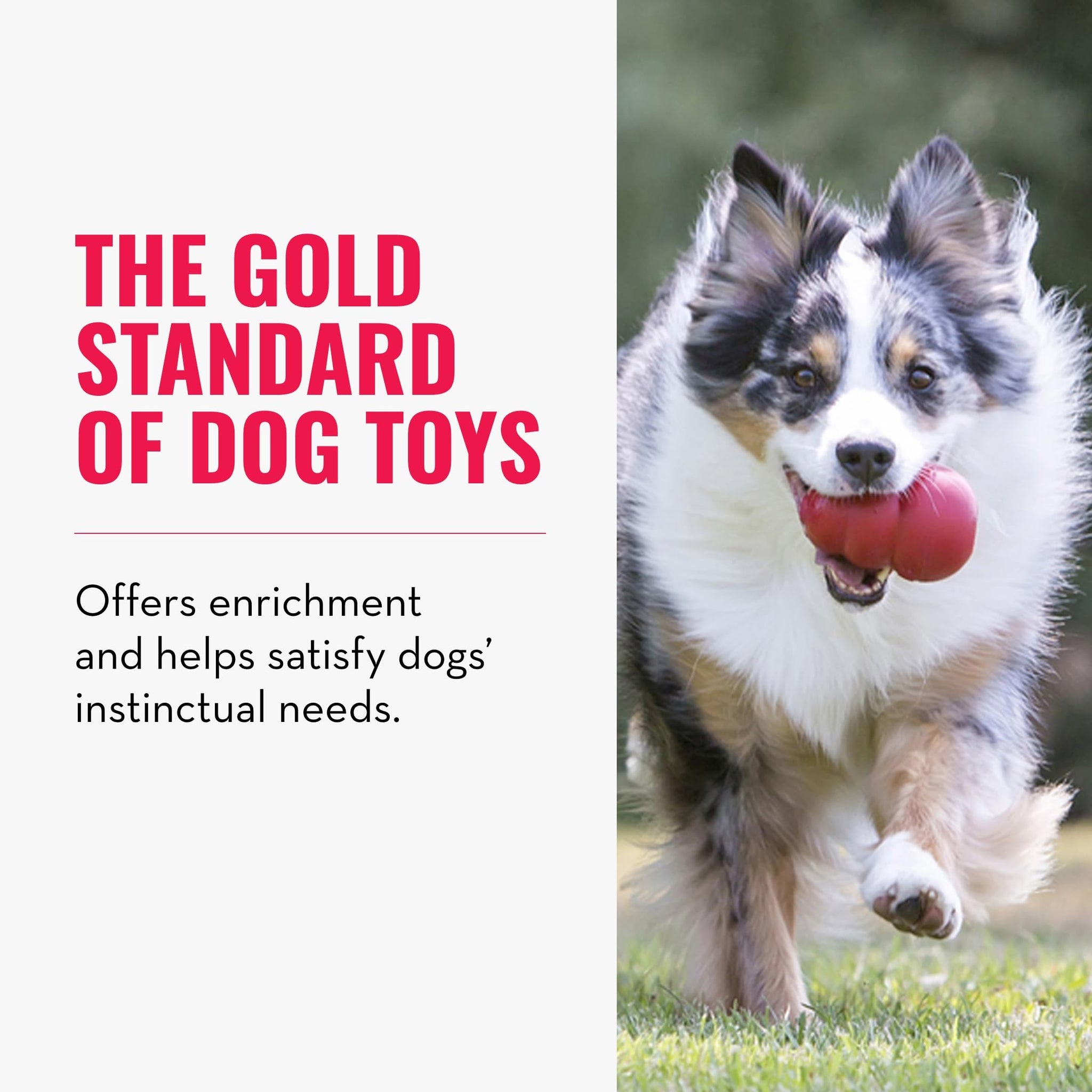 KONG Classic Stuffable Dog Toy - Fetch & Chew Toy for Dogs - Treat-Filling Capabilities & Erratic Bounce for Extended Play Time