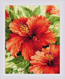 Riolis Cross Stitch, Hibiscus (10 Count)