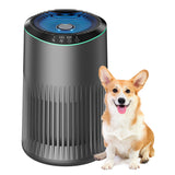 MERONTE Air Purifiers for Bedroom Home, Air Purifier for Smoke Odors with Fragrance Sponge, Small Air Purifier with Sleep Mode f