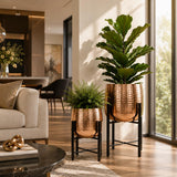 Indian Decormart Plant Pots | Metal Indoor Planter Flower Pots For Home Decor, Garden (Copper)