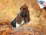 2025 2026 Basset Hound Calendar - Dog Breed Monthly Wall Calendar - 12 x 18 Open - Thick No-Bleed Paper - Giftable - Academic Te