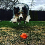 Sodapup Crazy Bounce - Durable Dog Ball Toy & Chew Toy Made In Usa From Non-Toxic, Pet-Safe, Food Safe Natural Rubber Material F