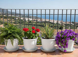 Bianco Plastic Duro Flower Pot For Gardening, Indoor/Outdoor PlanterWhite Elevate Your Space Transform Any Space With Hanging F