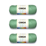 Caron Simply Soft Sage Yarn - 3 Pack of 170g/6oz - Acrylic - 4 Medium (Worsted) - 315 Yards - Knitting/Crochet
