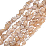 THRELE 13-16mm Natural Brown Irregular Mother of Pearl Shell Loose Beads for Jewelry Making (Approx. 28pcs)