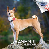 2024 2025 Basenji Calendar Dog Breed Monthly Wall Calendar 12 x 24 Open Thick NoBleed Paper Giftable Academic Teacher