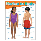 TREND Parts of the Body Learning Chart, Classroom Decor, 17 x 22
