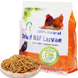 MEILLEURE 5lbs Dried Black Soldier Fly Larvae for Chickens - 100% Natural BSF Larvae More Calcium Than Dried Mealworms - High Pr