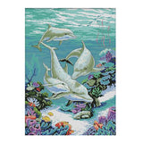 Calandis 11Ct Counted & Stamped Cross Stitch Kit For Beginners Embroidery Dolphins Patterns | Cross Stitch Kits | Hand Embroider