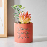 Home Centre Garnet Garden Ceramic Quotes Planter