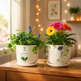 Xtore Charming Printed Ceramic Planter Set Of 2 With Drainage Trays | Artistic Indoor Plant Pots For Desk, Shelf & Gift Styling 