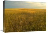 Upper Prairie In Badlands National Park, South Dakota-Canvas Art-24X18