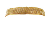 Saree Waist Hip Belt Kamarband Chiku