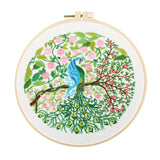 Ecomistiq Diy Floralstitch Kit With Basic Tools Full Embroidery Starter Kits|Kits|Embroidery|Needlework|Craft Materials|Home &