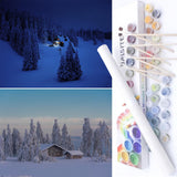 BAISITE Paint by Numbers Kit for Adults Beginners,16 Wx12 L 2 Pack Canvas for Painting Kits for Adults in Colorful Box-BAIPBN615