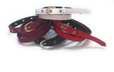 Womens Formal Casual Denim Material Jeans Belts 4Pcs Black Red Maroon White