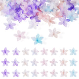 FASHEWELRY 60 Pcs Acrylic Flower Bead Caps Transparent 5-Petal Flower Beads Floral Blossom Spacer Beads for Jewelry Making Brace