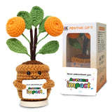 Handmade Emotional Positive Flower Crochet, Emotional Support Plant, Mini Funny Doll Encouragement Gift Thank You Gift for Women