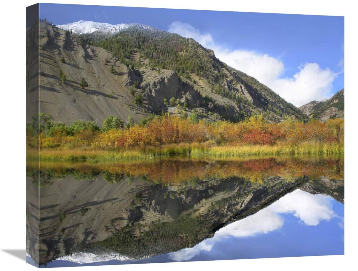 Boulder Mountains Reflected In Beaver Pond, Idaho-Canvas Art-22X18.26
