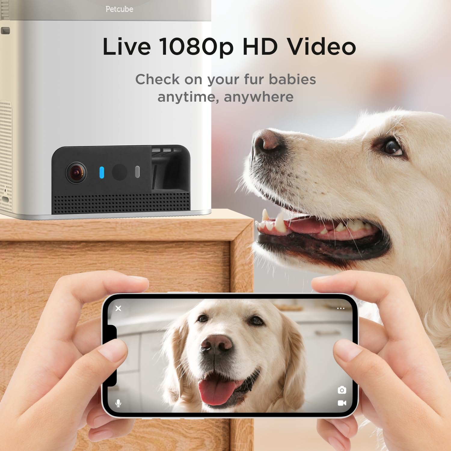 Petcube Bites 2 Lite Interactive WiFi Pet Monitoring Camera with Phone App and Treat Dispenser, 1080p HD Video, Night Vision, Tw