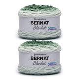 Bernat Blanket Perfect Phasing - 2 Pack of 220 Yards/10.5 oz Forest 100% Polyester Yarn