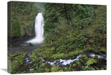 Multnomah Falls Cascading Through Temperate Rainforest, Columbia River Gorge Near Portland, Oregon-Canvas Art-24X18