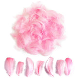 300pcs Pink Feathers 2-3 Inches Bulk Feathers for Crafting, Dream Catcher Accessories, Art Projects, DIY Crafting, Handi Crafts,